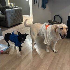 Meet your Posher, Cristina